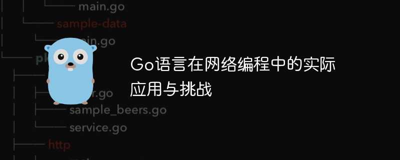 go语言在网络编程中的实际应用与挑战