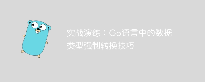 实战演练：go语言中的数据类型强制转换技巧