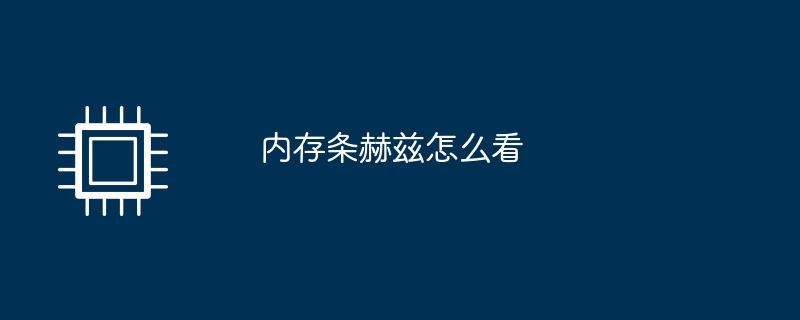 内存条赫兹怎么看