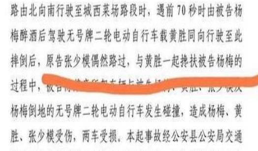 老人扶倒地者却被车撞成植物人 为什么见义勇为申请会被驳回插图2