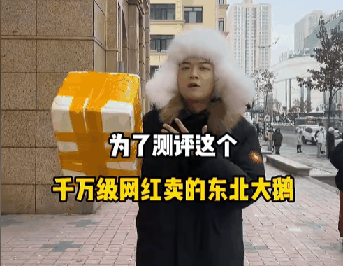 东北雨姐：东北给全国人打的一针兴奋剂