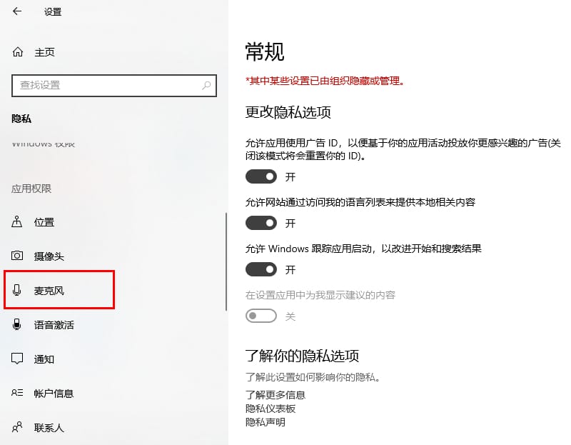 win10如何设置允许应用访问麦克风 win10电脑设置允许应用访问麦克风的方法插图4