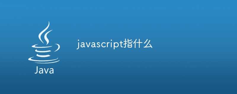 javascript指什么