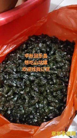 洛克王国墨圣殿怎么过去 洛克王国：穿越墨圣殿的奇幻之旅