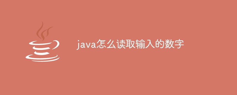 java怎么读取输入的数字