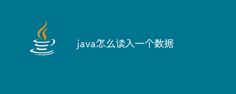 java怎么读入一个数据