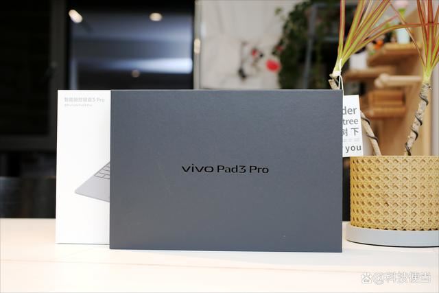 vivo Pad3 Pro值得购买吗? vivo Pad3 Pro平板首发全面测评插图40