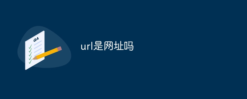 url是网址吗