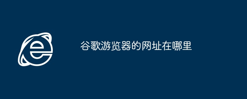 谷歌游览器的网址在哪里