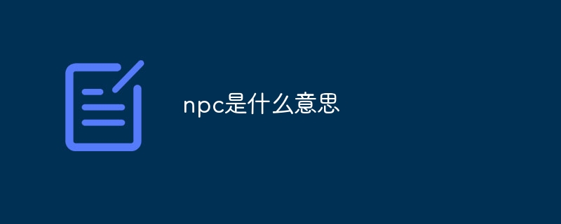 npc是什么意思