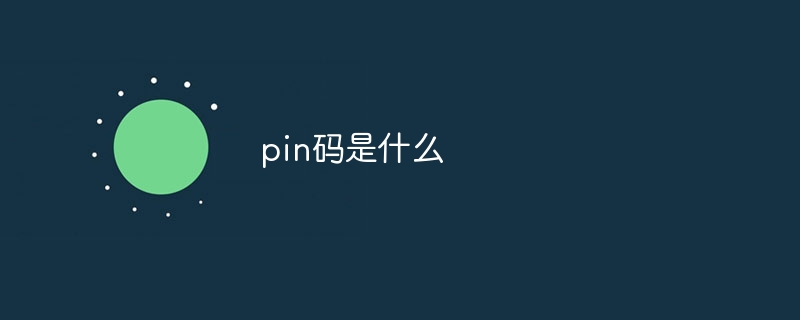 pin码是什么