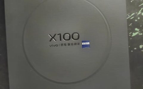 vivo X100