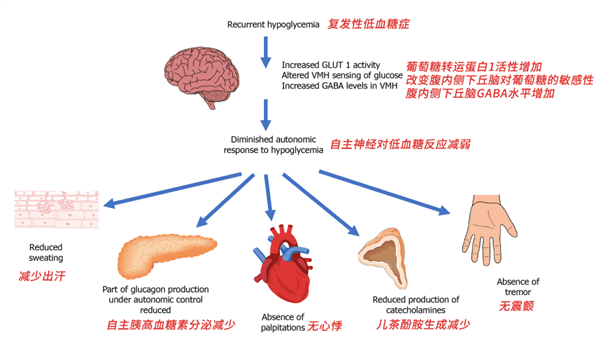 低血糖真的很可怕：严重会要命！别再不当回事了！