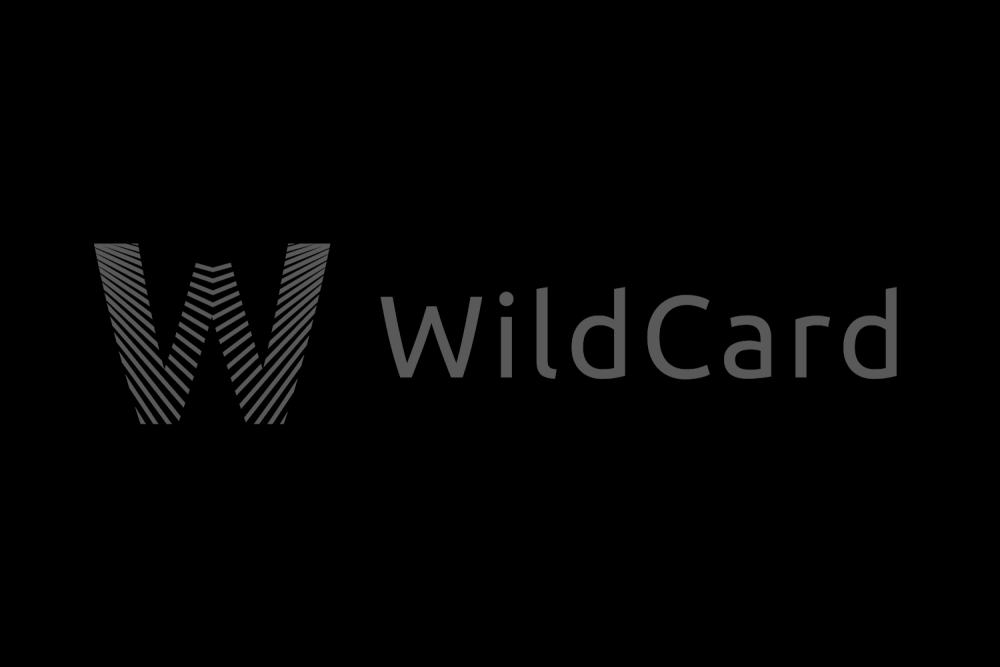 WildCard 信用卡