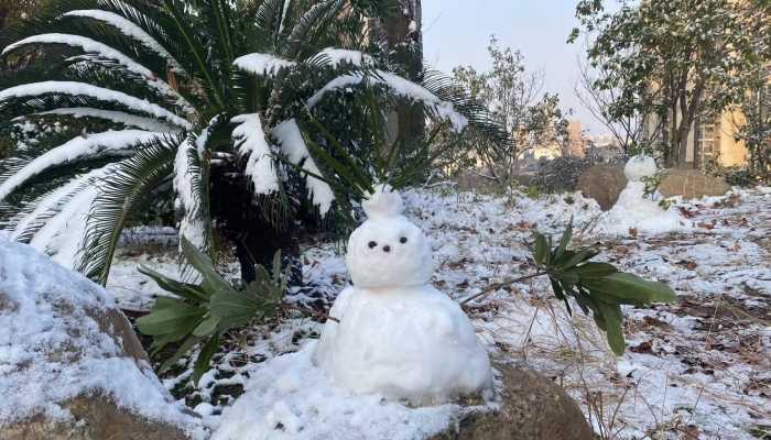 今日山东半岛等地部分地区仍有小雨雪 沿海地区气温较低