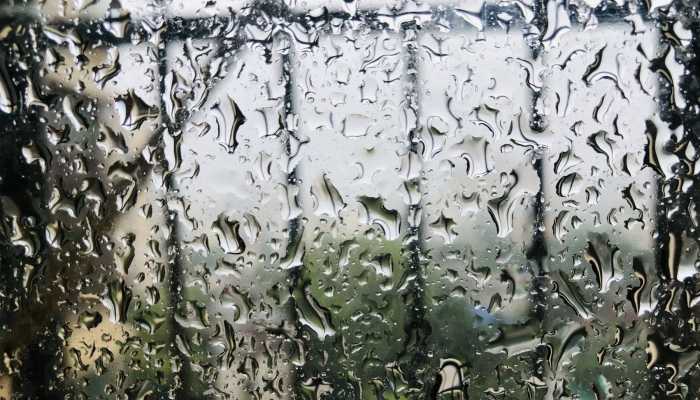 今起三天福建阵雨或雷阵雨频繁 后天强降雨范围有所扩大