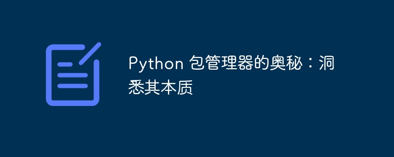 python 包管理器的奥秘：洞悉其本质