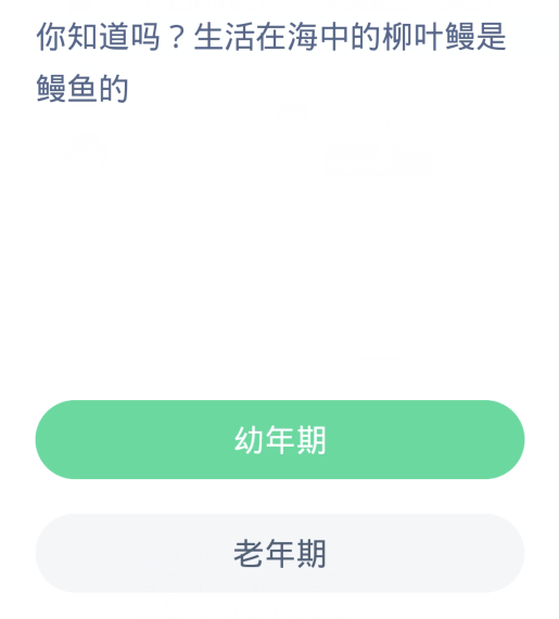 蚂蚁森林神奇海洋4月1日：生活在海中的柳叶鳗是鳗鱼的