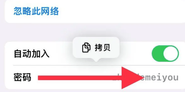 iphone怎么查看wifi密码