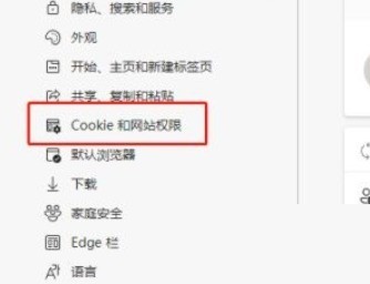 microsoft edge怎么查看Cookie数据_microsoft edge查看Cookie数据教程