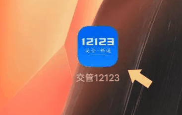 交管12123拍照功能在哪