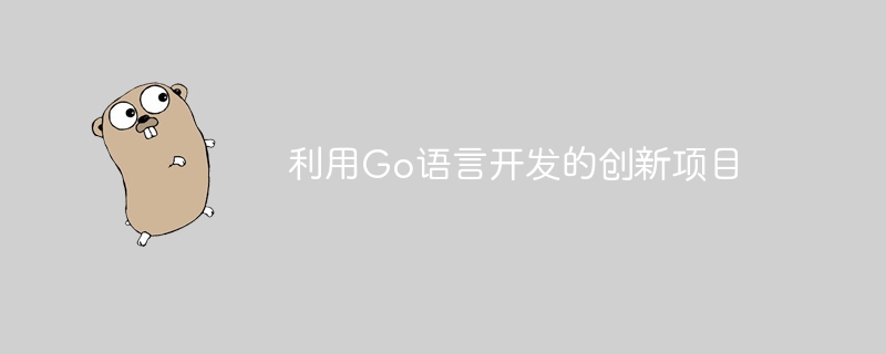 利用Go语言开发的创新项目