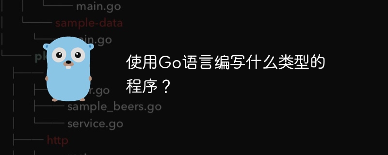 使用Go语言编写什么类型的程序？