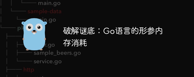 破解谜底：Go语言的形参内存消耗