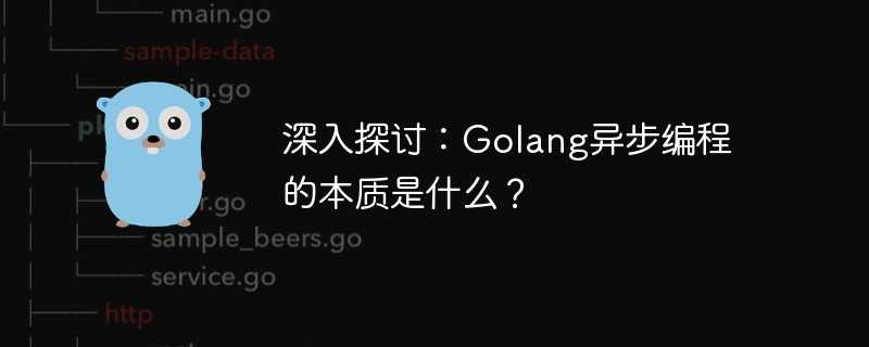 深入探讨：Golang异步编程的本质是什么？