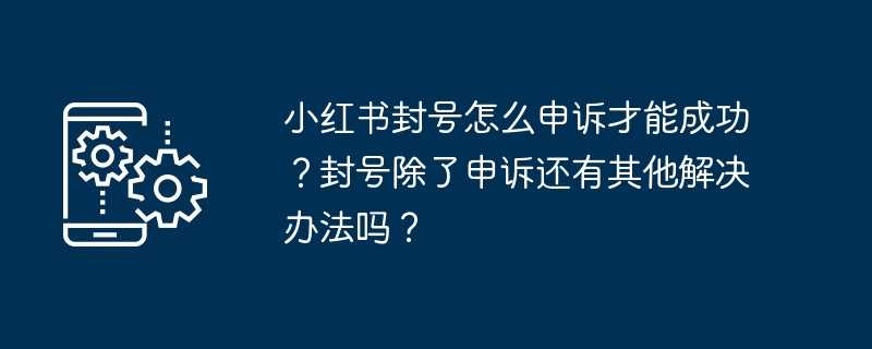 小红书封号怎么申诉才能成功？封号除了申诉还有其他解决办法吗？