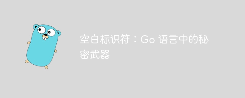 空白标识符：Go 语言中的秘密武器