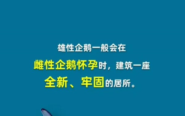 淘宝每日一猜4月7日答案