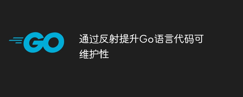 通过反射提升Go语言代码可维护性