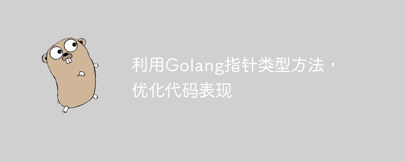 利用Golang指针类型方法，优化代码表现