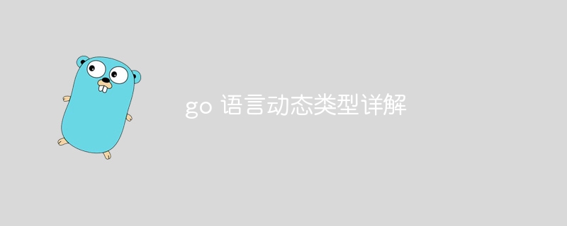 go 语言动态类型详解