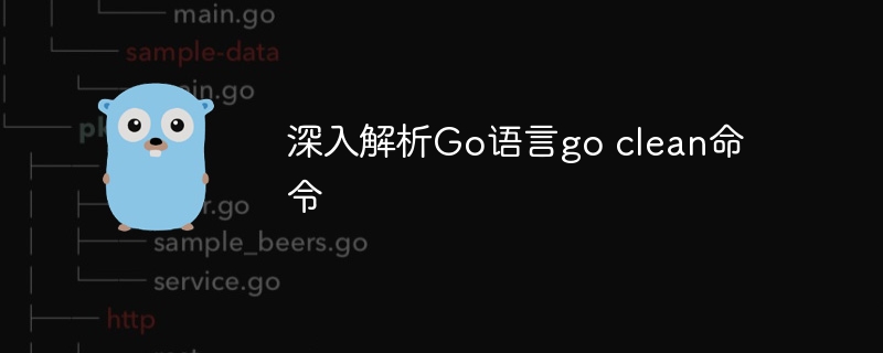 深入解析Go语言go clean命令