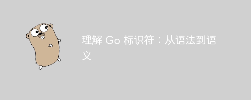 理解 Go 标识符：从语法到语义