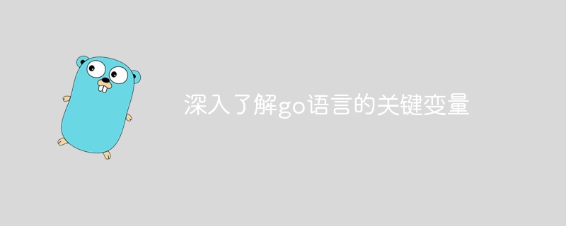 深入了解go语言的关键变量