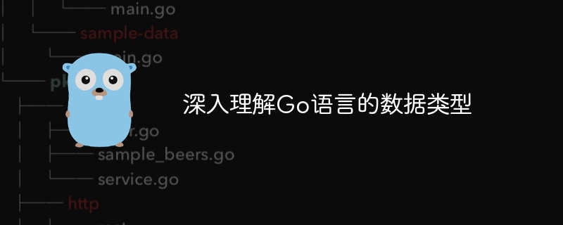 深入理解Go语言的数据类型