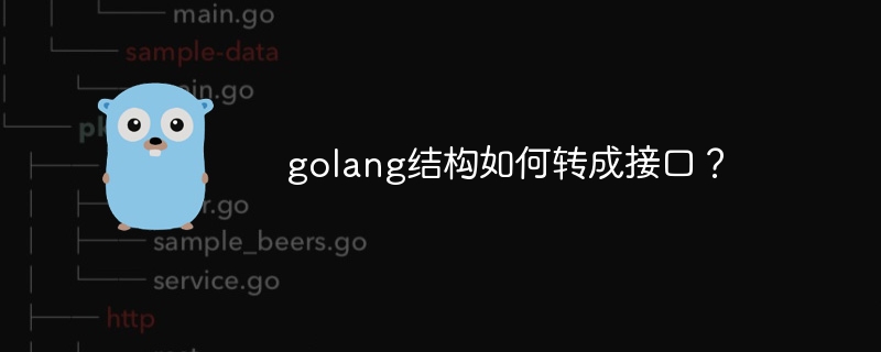 golang结构如何转成接口？