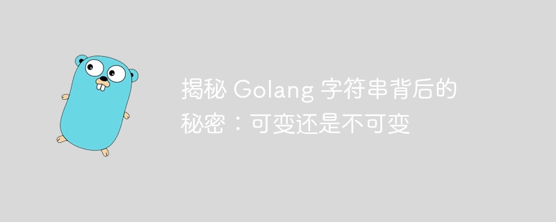 揭秘 Golang 字符串背后的秘密：可变还是不可变