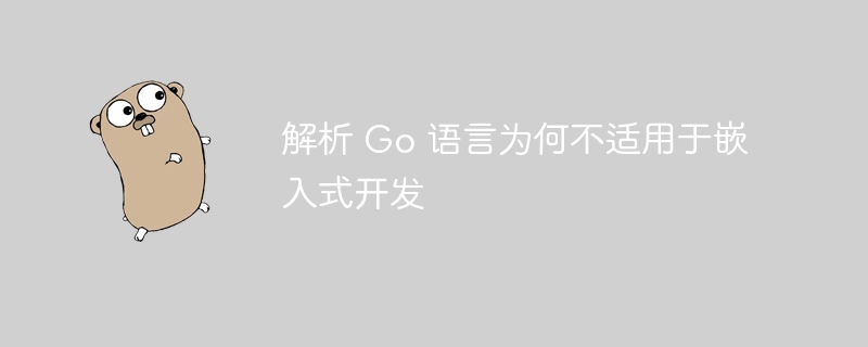 解析 Go 语言为何不适用于嵌入式开发