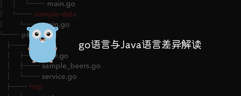 go语言与Java语言差异解读