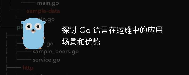 探讨 Go 语言在运维中的应用场景和优势