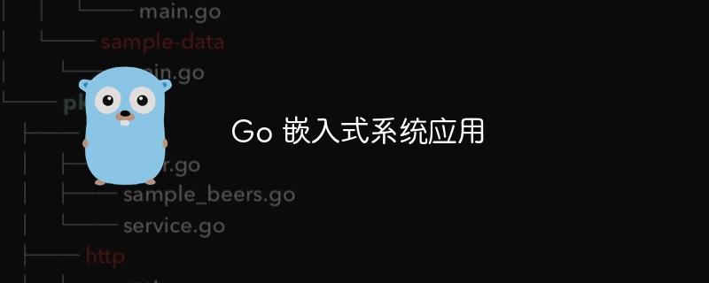 Go 嵌入式系统应用