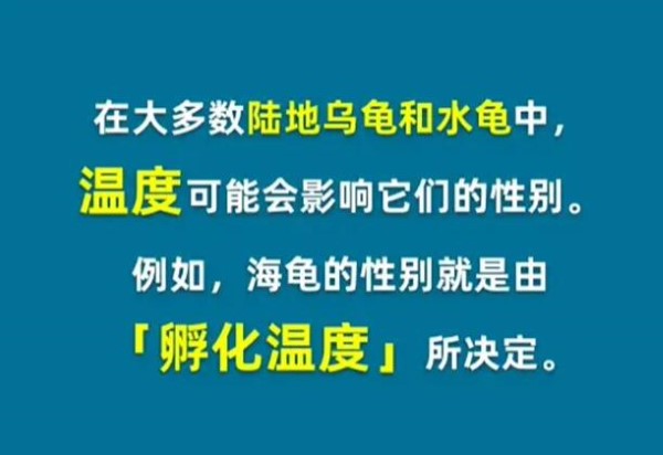 淘宝每日一猜4月9日答案