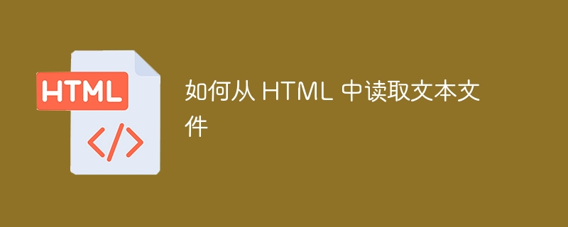 如何从 HTML 中读取文本文件