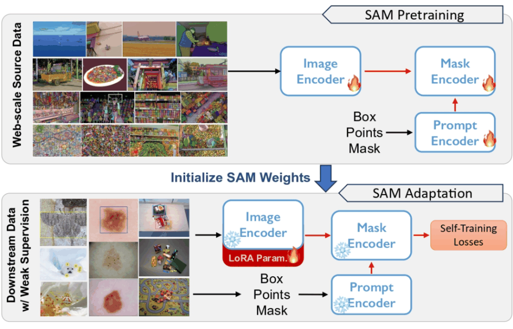 CVPR 2024 | 分割一切模型SAM泛化能力差？域适应策略给解决了