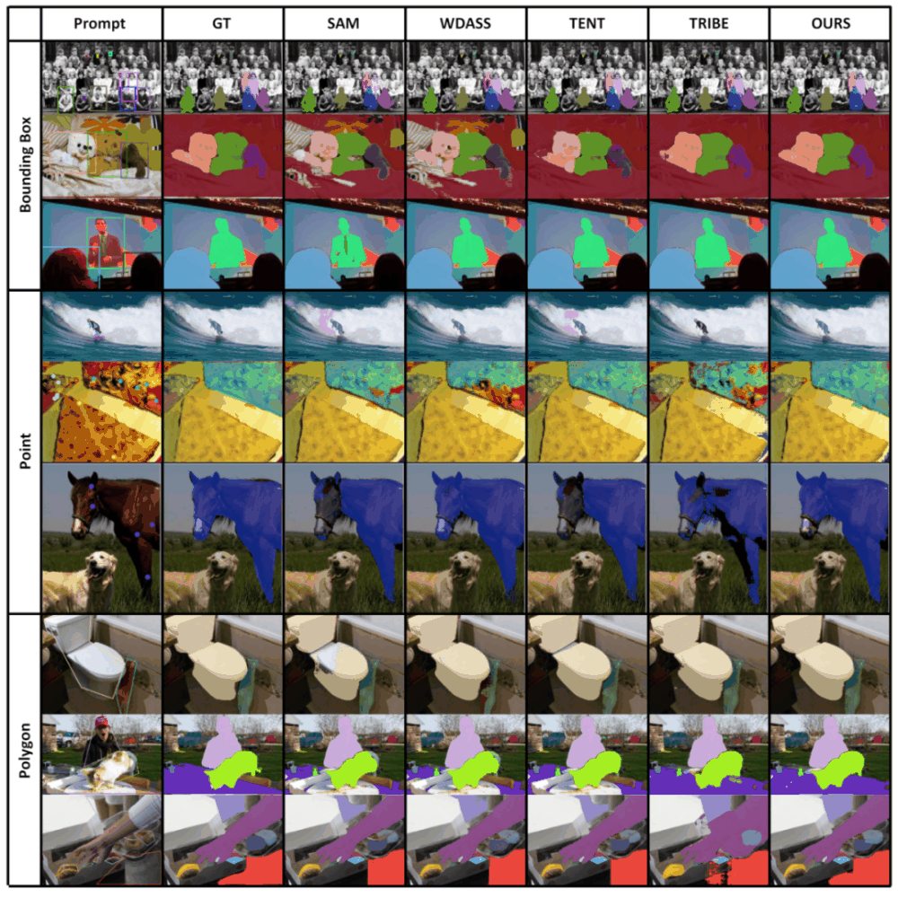 CVPR 2024 | 分割一切模型SAM泛化能力差？域适应策略给解决了