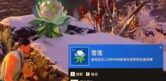 永劫无间手游雪莲位置介绍